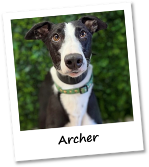 Archer