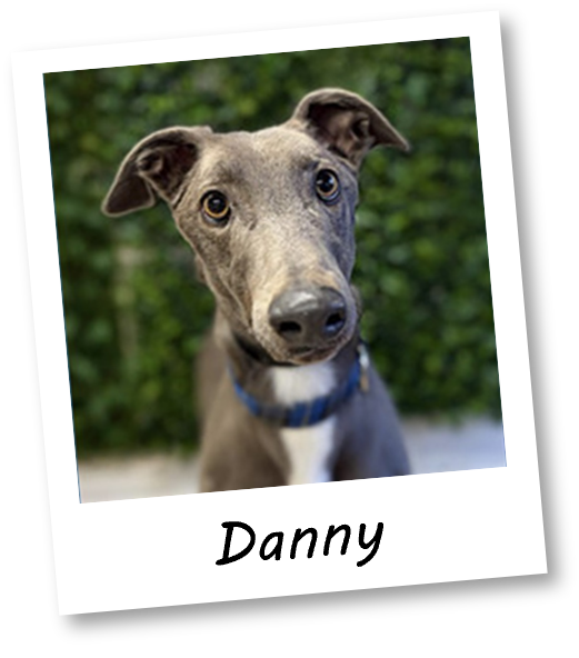Danny