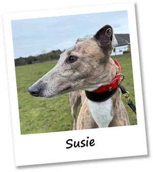 Susie
