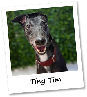 Tiny Tim